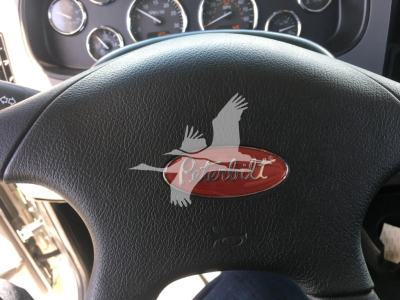 Peterbilt steering wheel with logo and dashboard gauges visible in background.