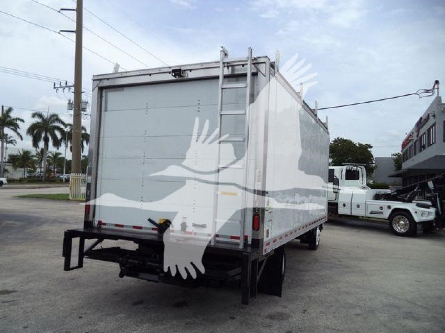 Isuzu NPR HD box truck rear view showing large enclosed cargo box with rear doors, ladder on right side, and stock watermark across image.