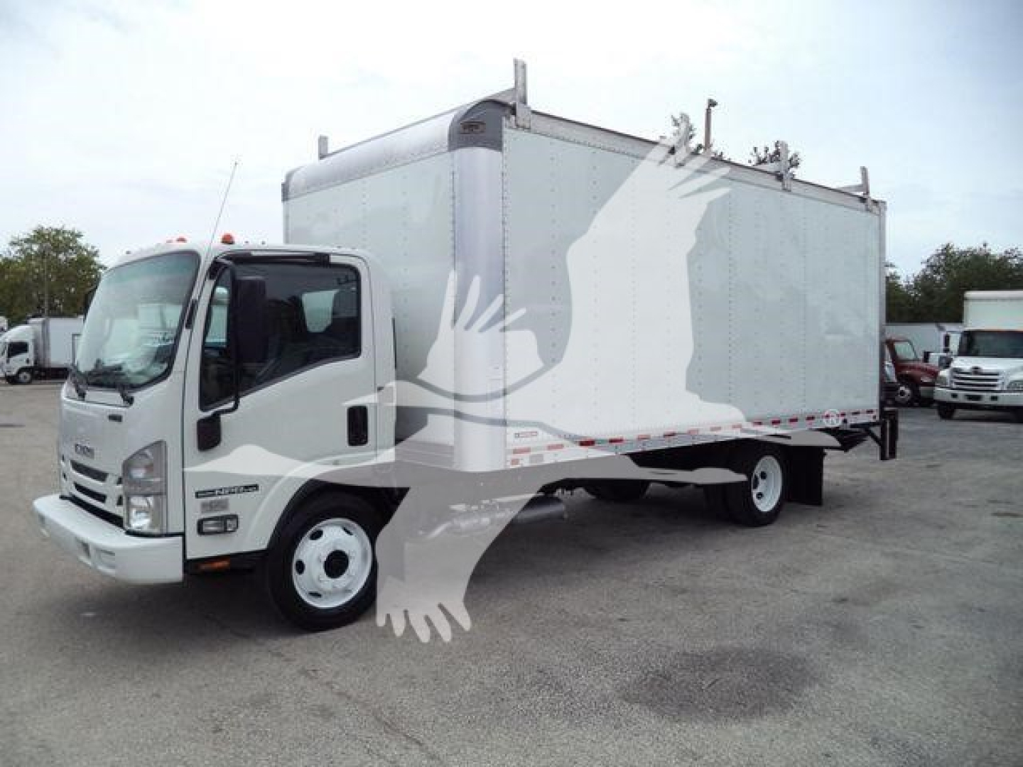 Isuzu NPR HD box truck showing cargo box and cab, stock image with faded watermark overlay.