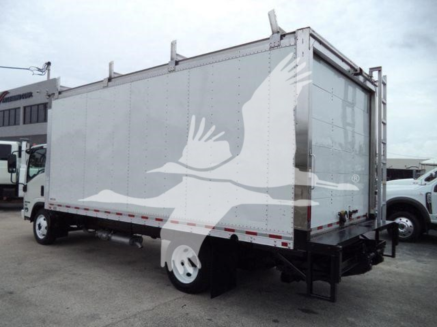 Isuzu NPR HD box truck showing cargo box with white dove graphic on side and rear doors open