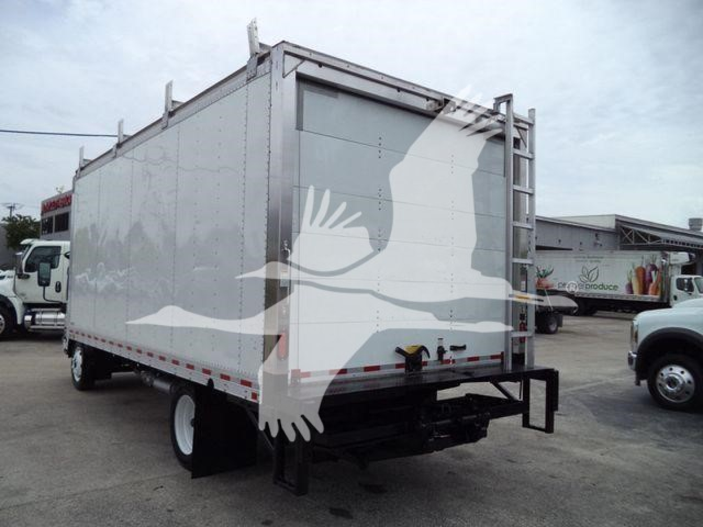 Isuzu NPR-HD box truck rear view showing cargo box with white decorative graphics and rear underrun protection.