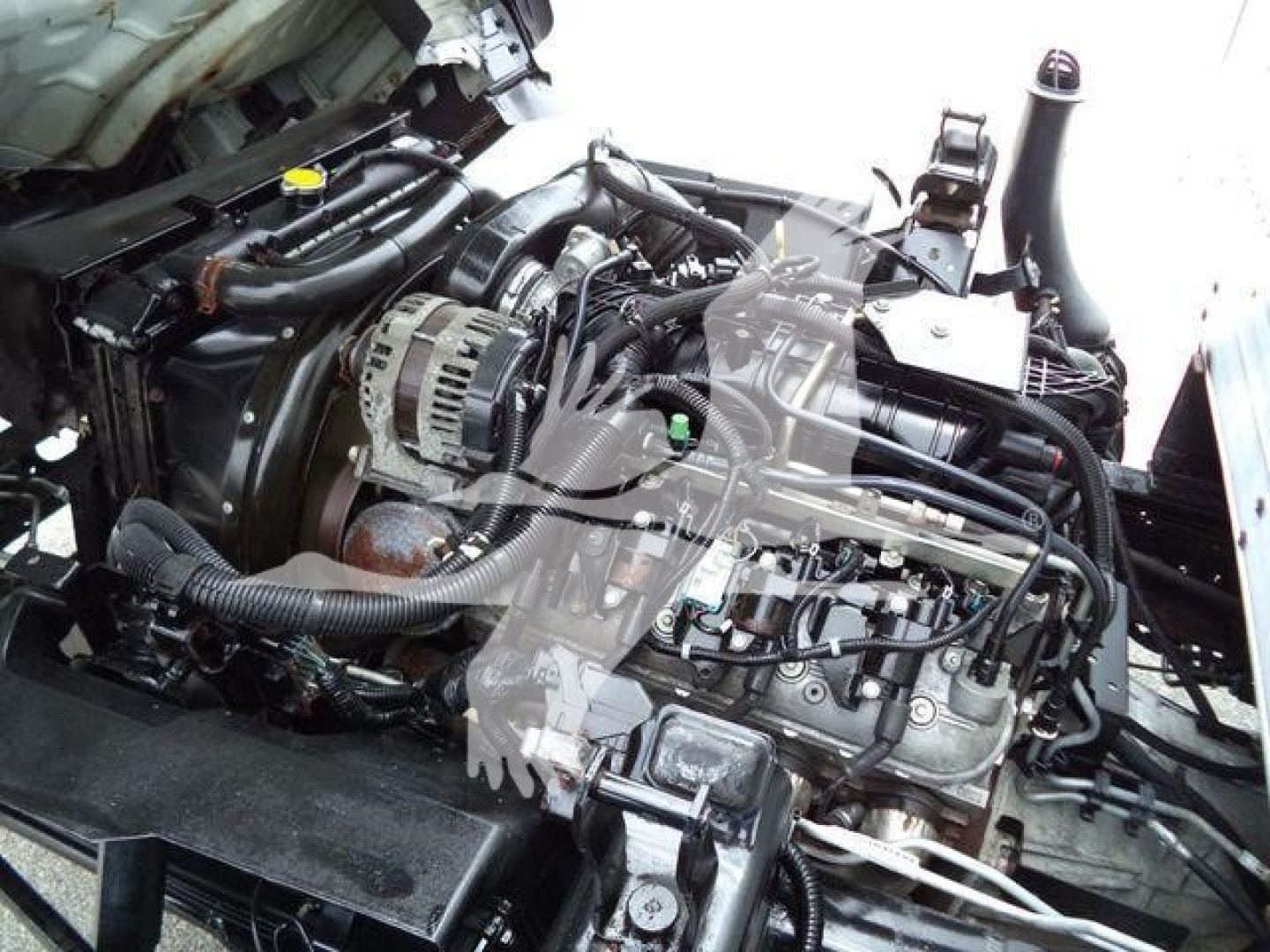 Isuzu NPR-HD engine bay showing turbo diesel engine with serpentine belt, alternator, and various hoses; view from driver side with hood open.