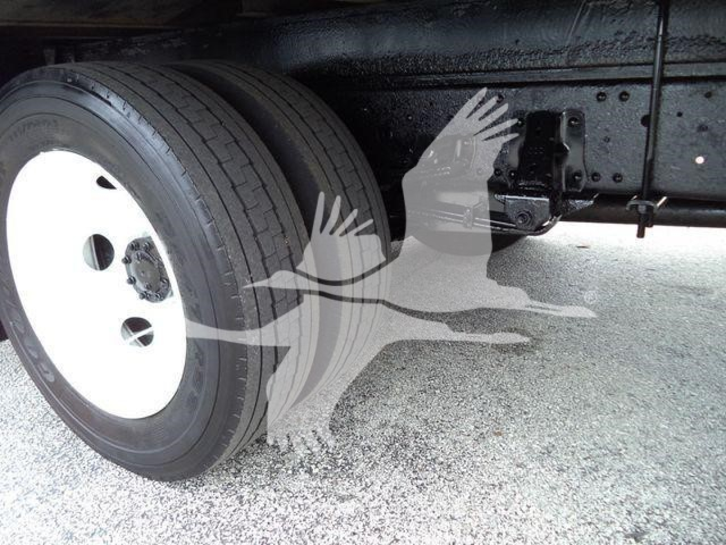 Isuzu NPR HD truck undercarriage showing front dual wheels and chassis sills with bolts.