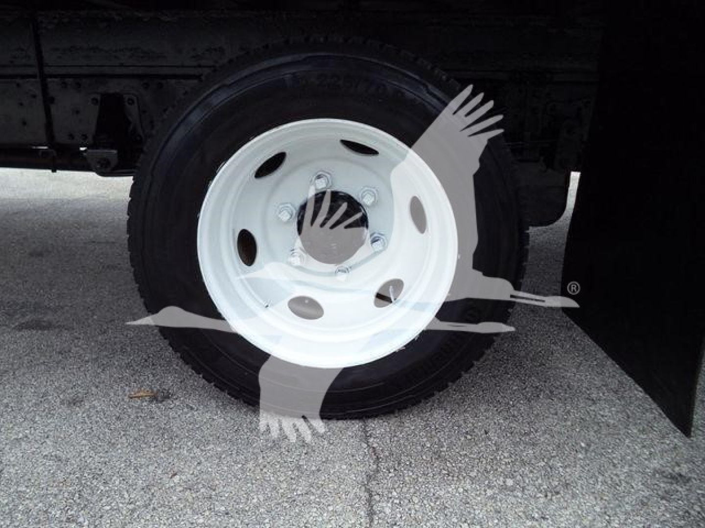 Isuzu NPR HD front wheel and fender area with white steel wheel and black tire; no visible text readable on components.