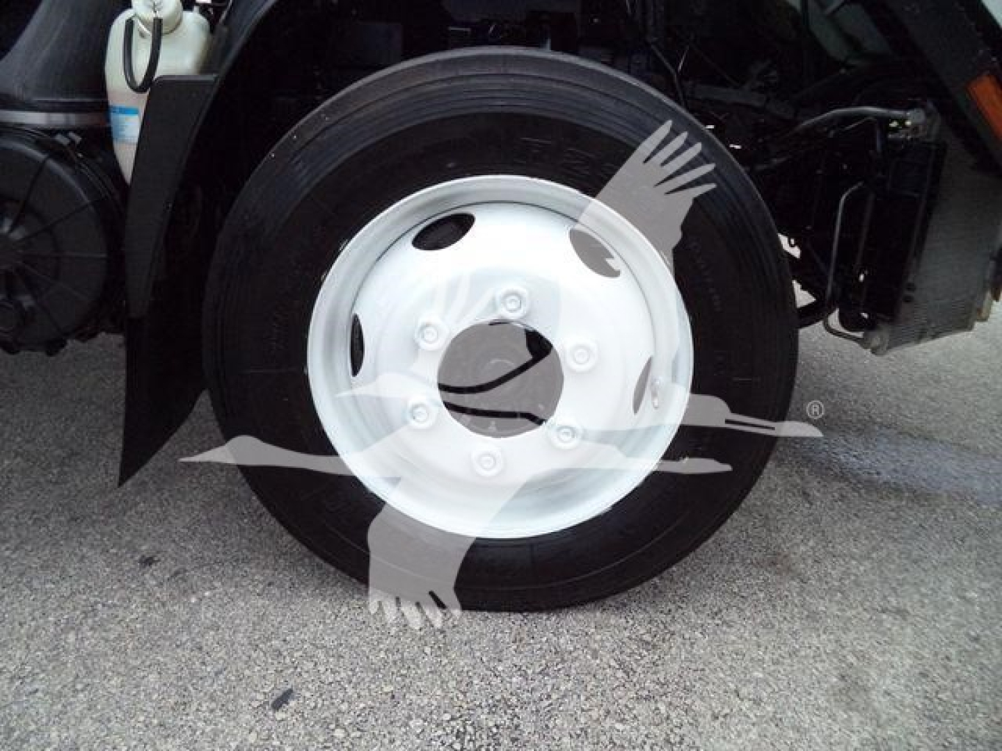 Isuzu NPR-HD truck wheel and front fender area showing a white steel wheel with black tire and surrounding suspension components.