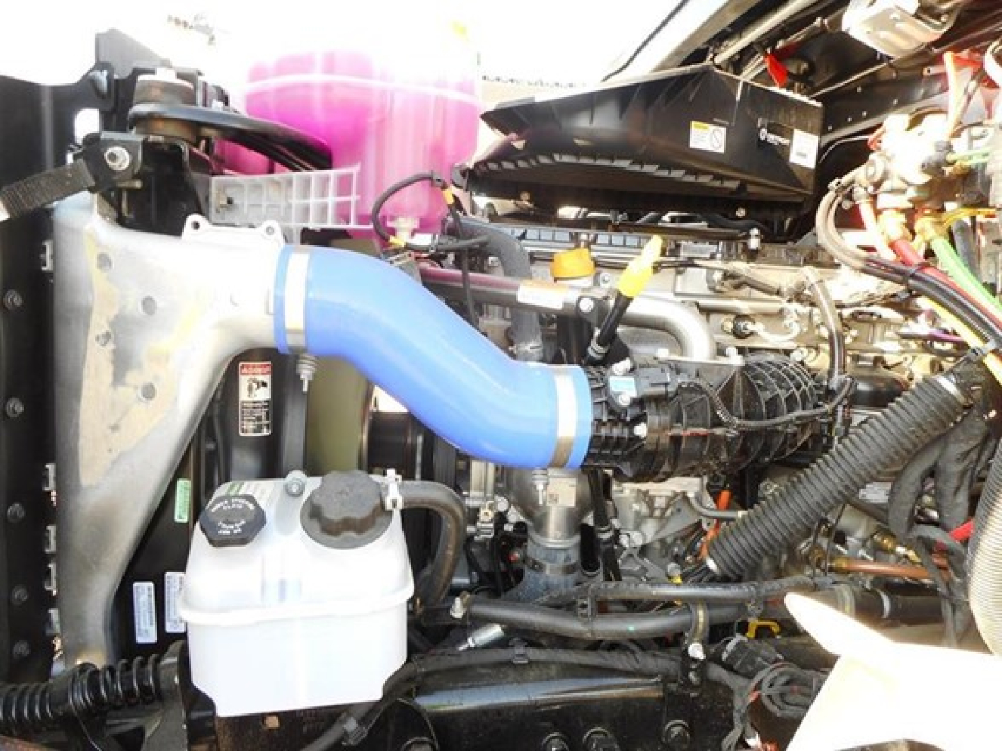 Western Star 47X engine bay showing coolant reservoir, blue intercooler hose, and various hoses and components in view.