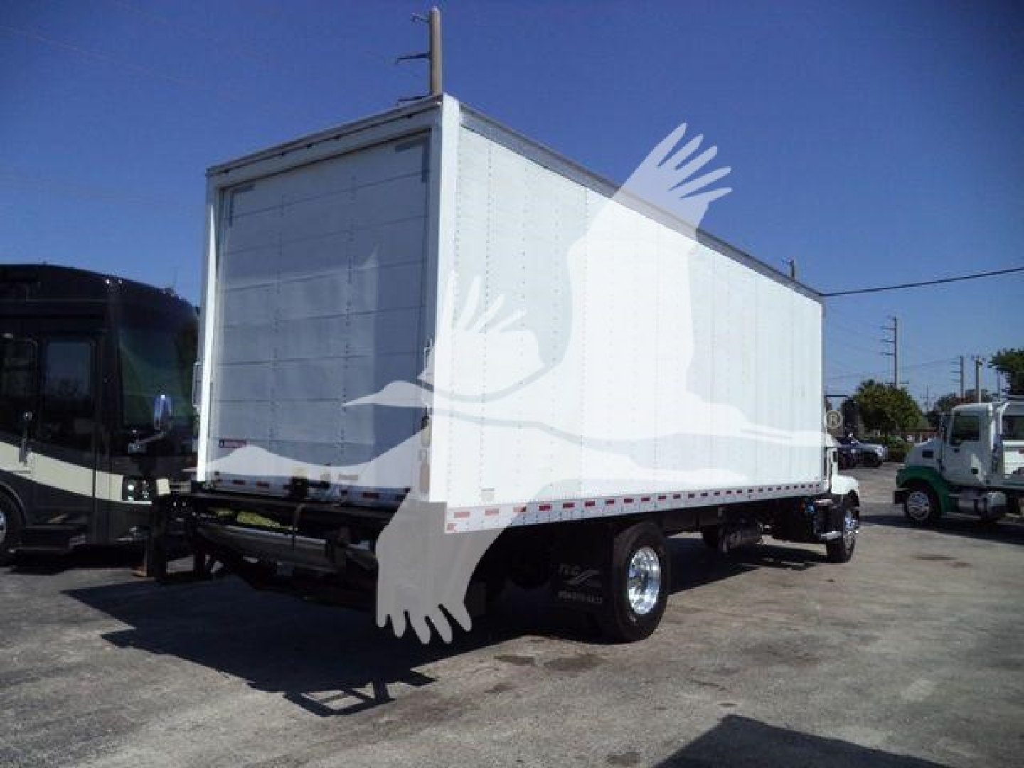 Box truck rear view showing MD6 box truck with white cargo box and dual rear wheels.