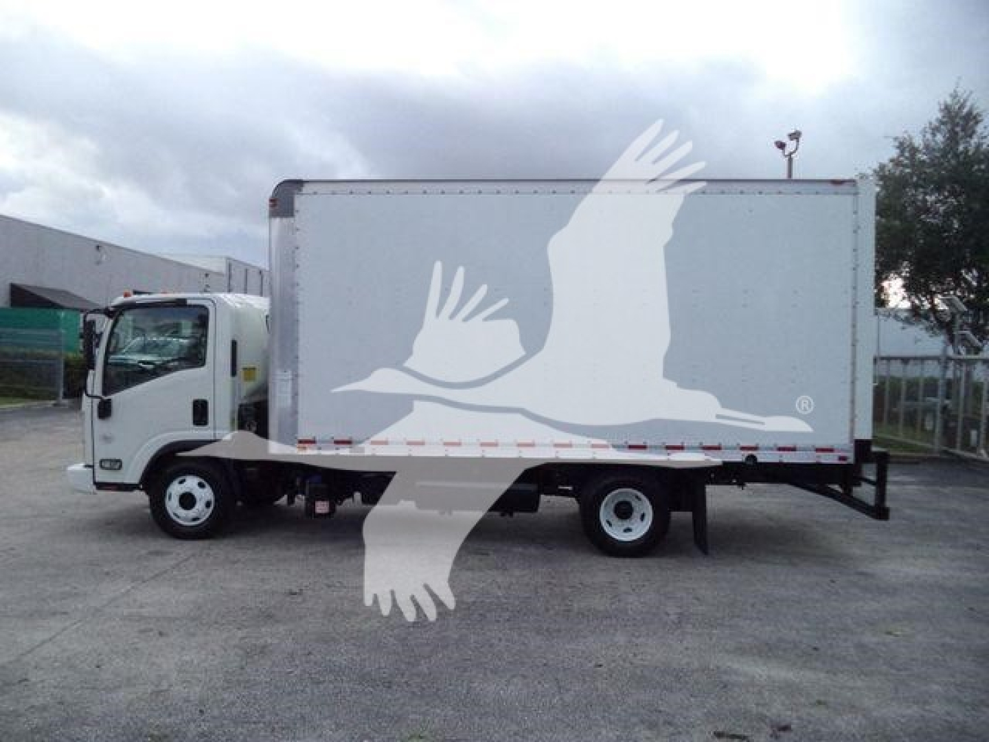 Isuzu NPR HD box truck side view with white cab and box, large graphic of a bird overlay on the box.