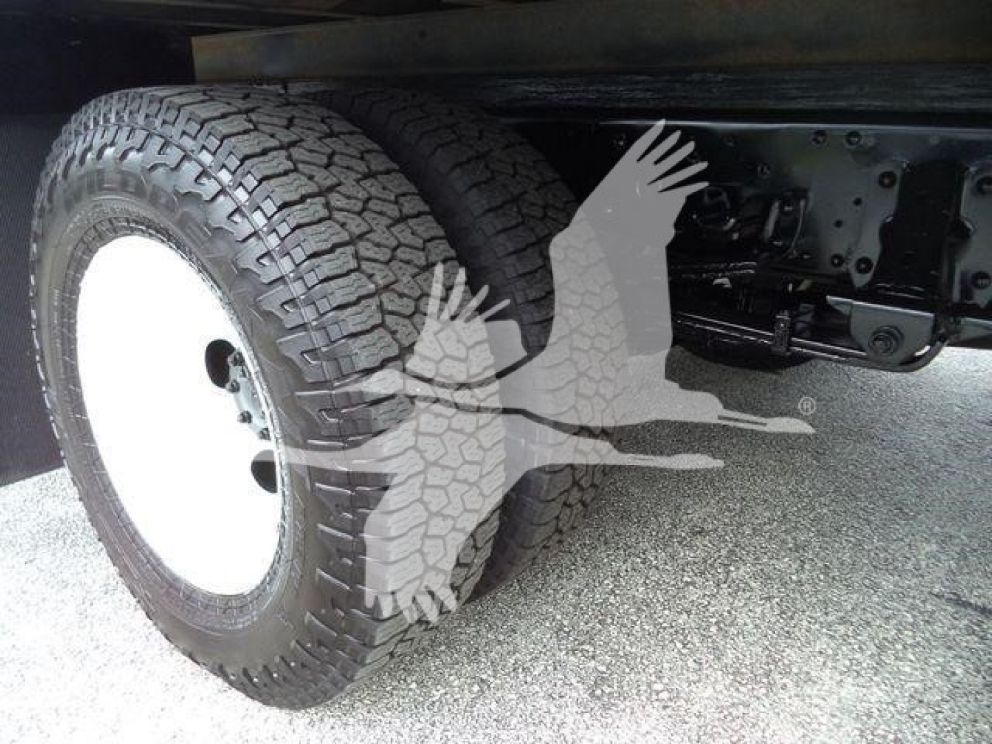 Isuzu NPR-HD truck rear dual wheels and undercarriage view showing dual rear tires and suspension components.