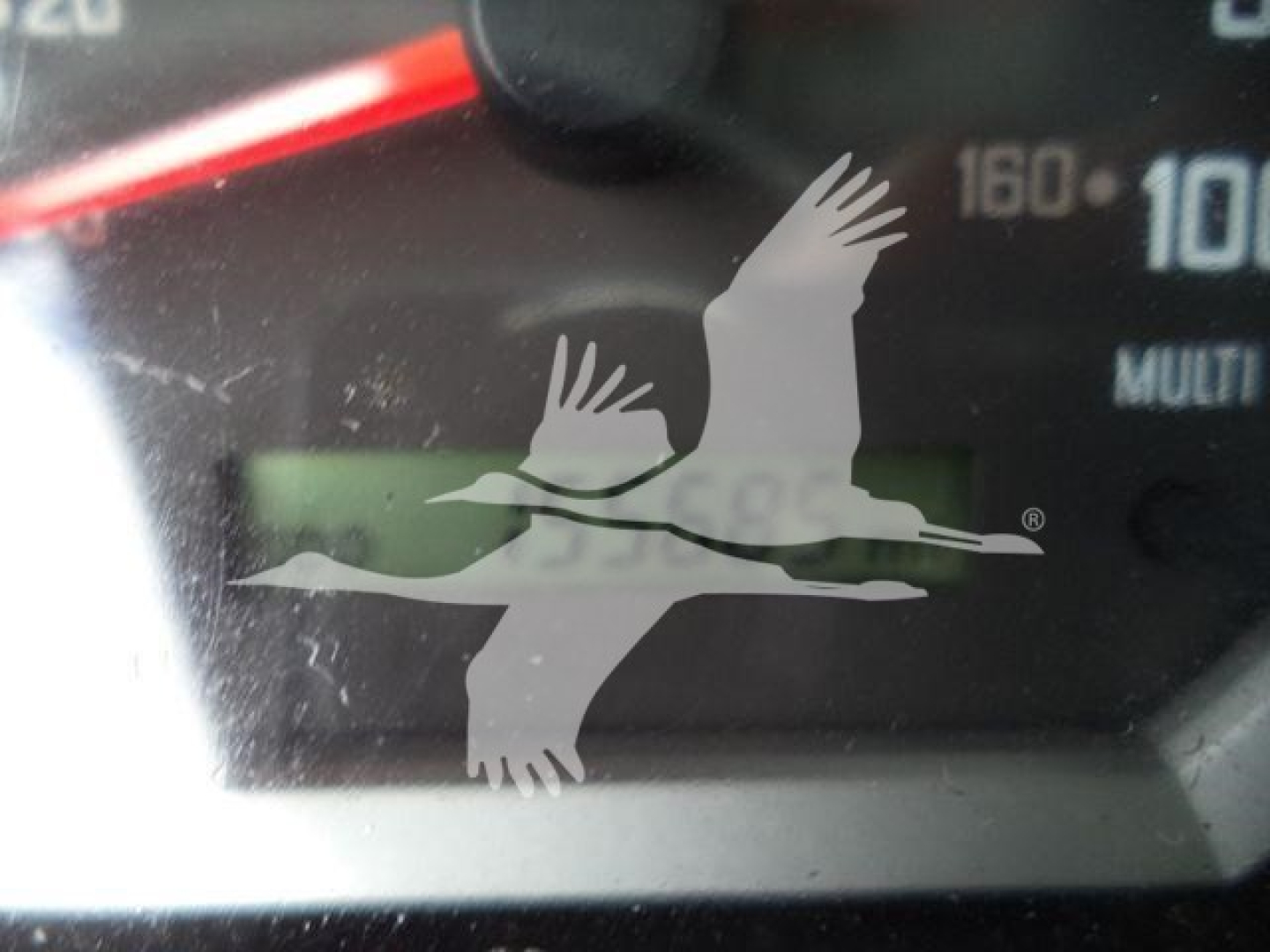 Isuzu NPR HD gauge cluster showing speedometer with numbers and a watermark overlay from listing.
