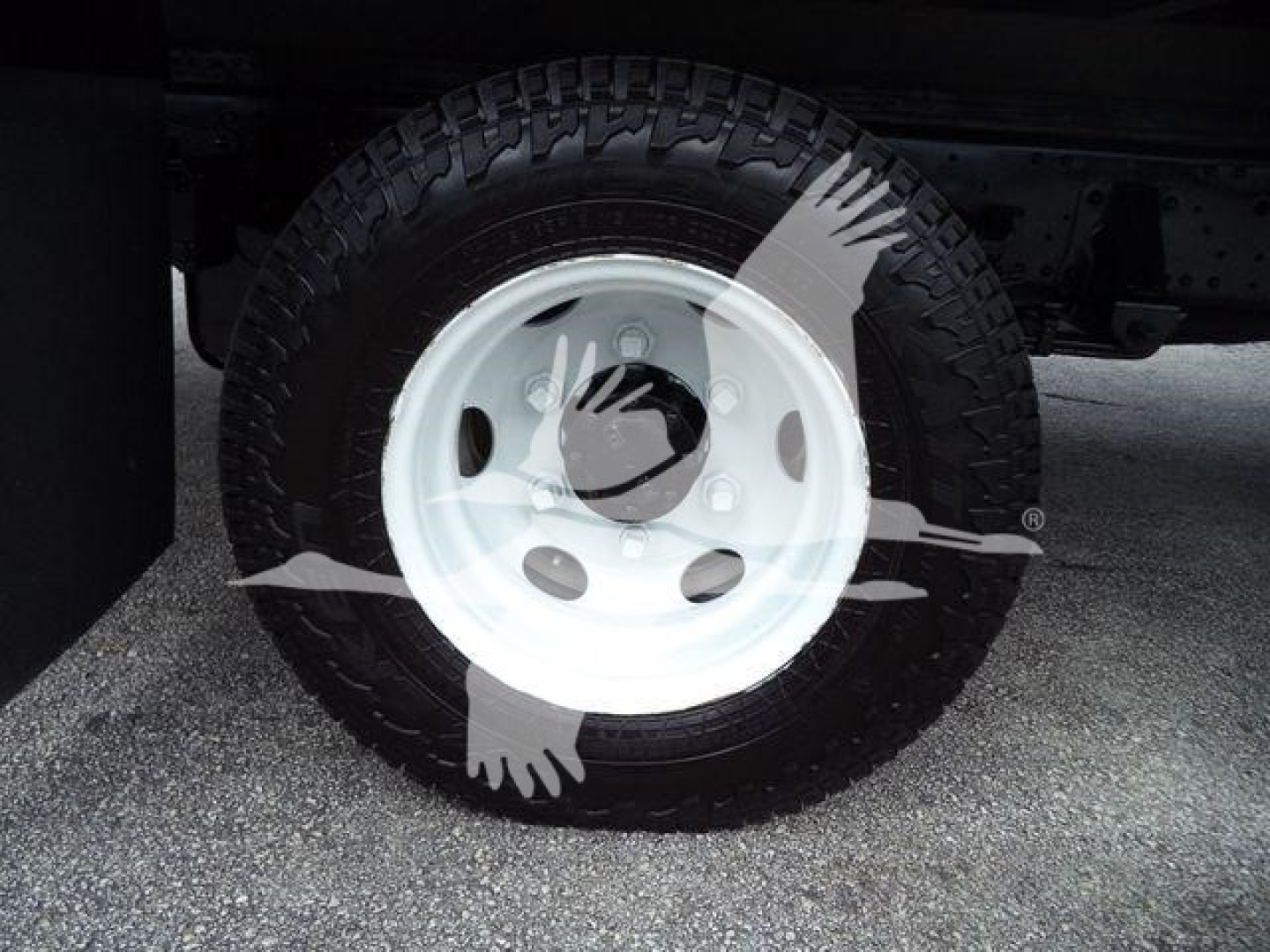 Isuzu NPR HD wheel and tire visible under truck body; white steel wheel with black tire, surrounding shadow and road surface.