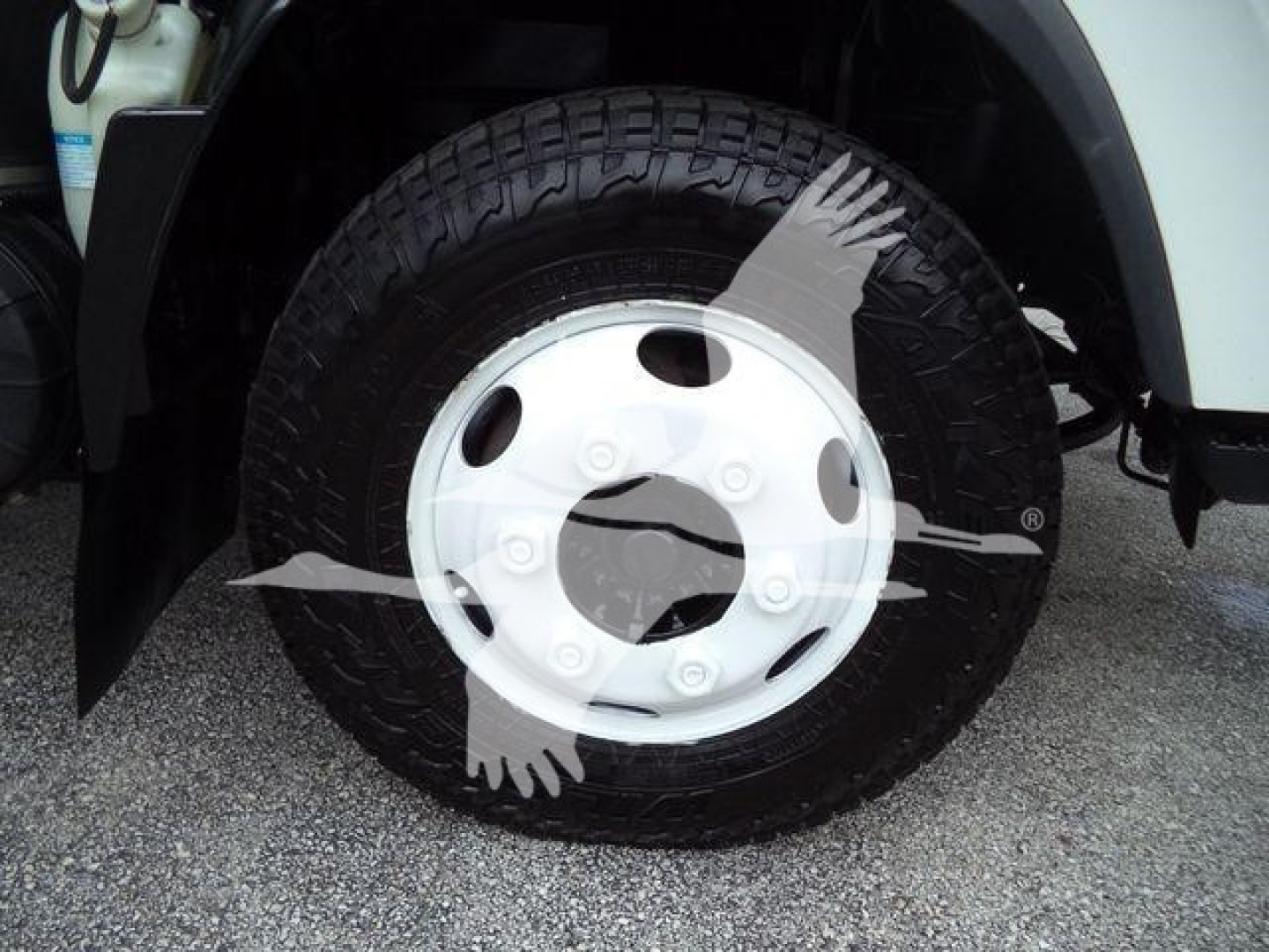 Isuzu NPR HD truck wheel and tire close-up view showing wheel with white hubcap and tire tread.