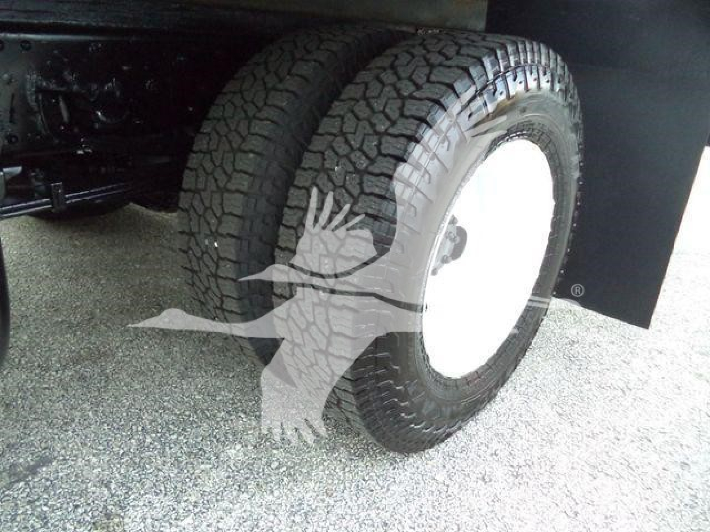 Isuzu NPR HD truck wheel and tire underbody view showing dual rear tires and white wheel hubs.