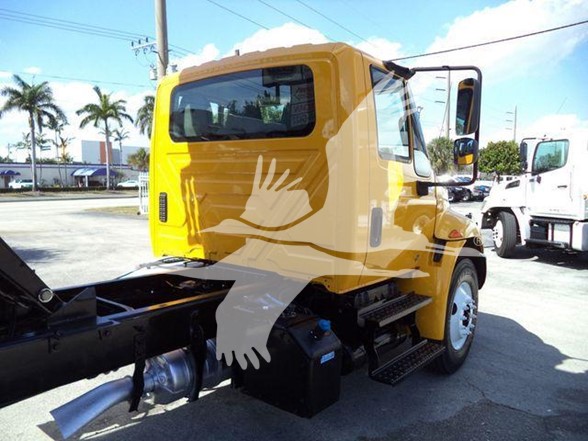 2019 International Durastar 4300