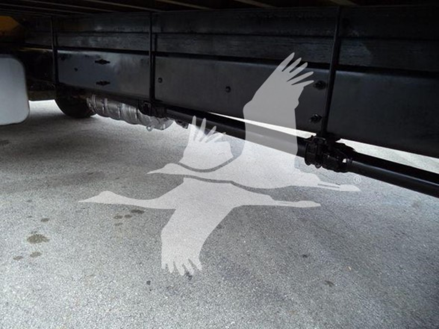View under a 2019 International Durastar 4300 chassis showing drivetrain components and black undercarriage with a hydraulic line.