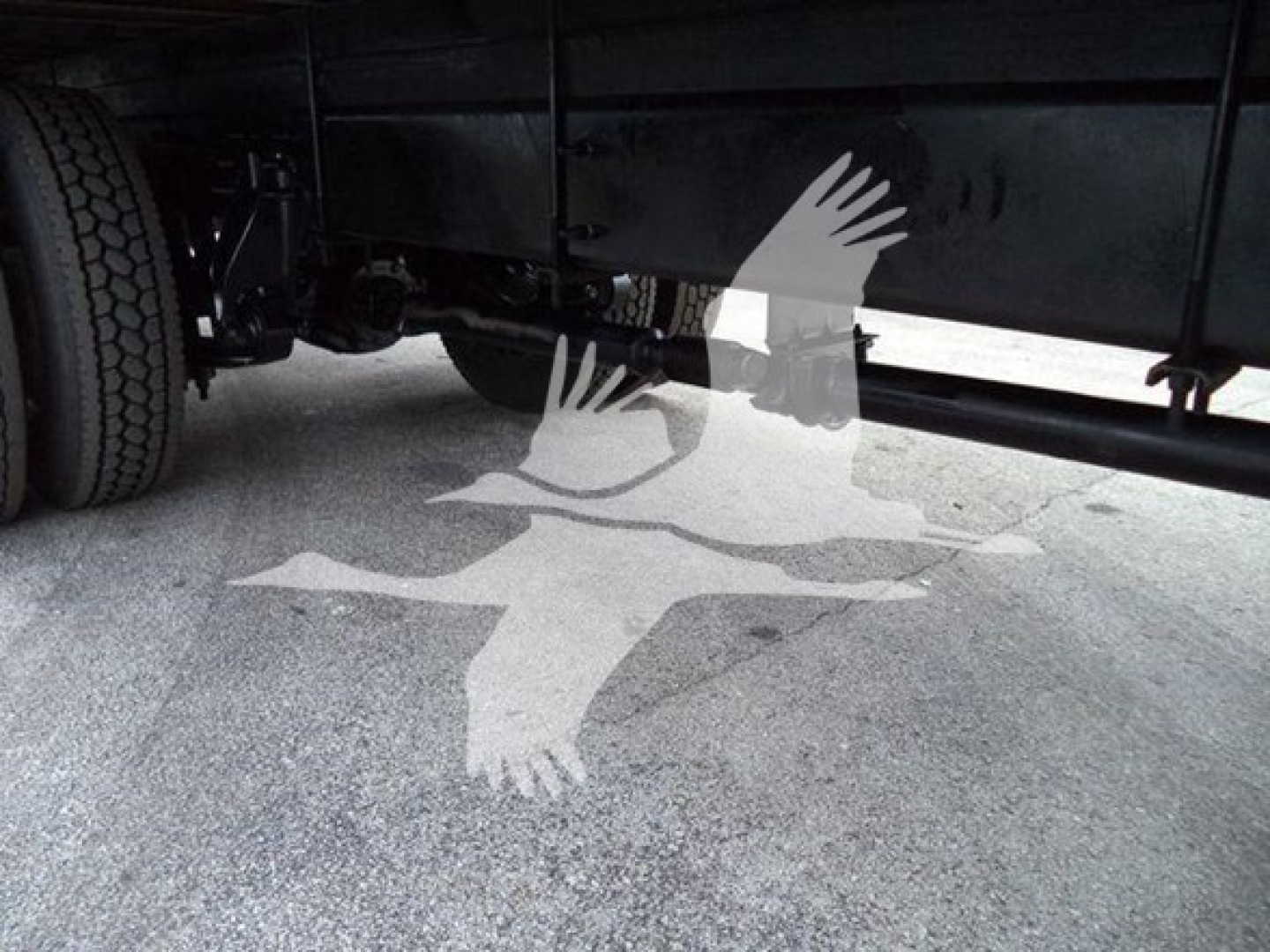 Box truck undercarriage showing chassis and tires with a watermark of three birds overlapping the ground.