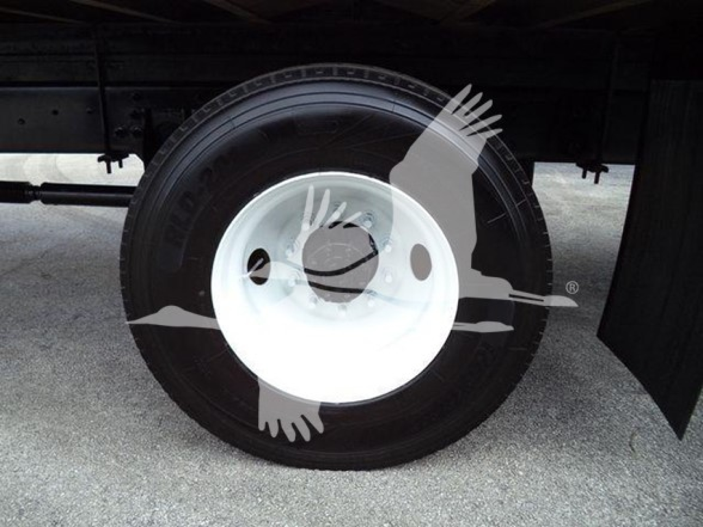 Wheel and tire close-up under truck chassis showing white steel rim and black tire on International Durastar 4300.