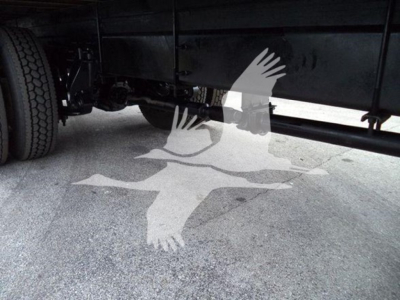 Box truck undercarriage showing chassis and tires with a watermark of three birds overlapping the ground.