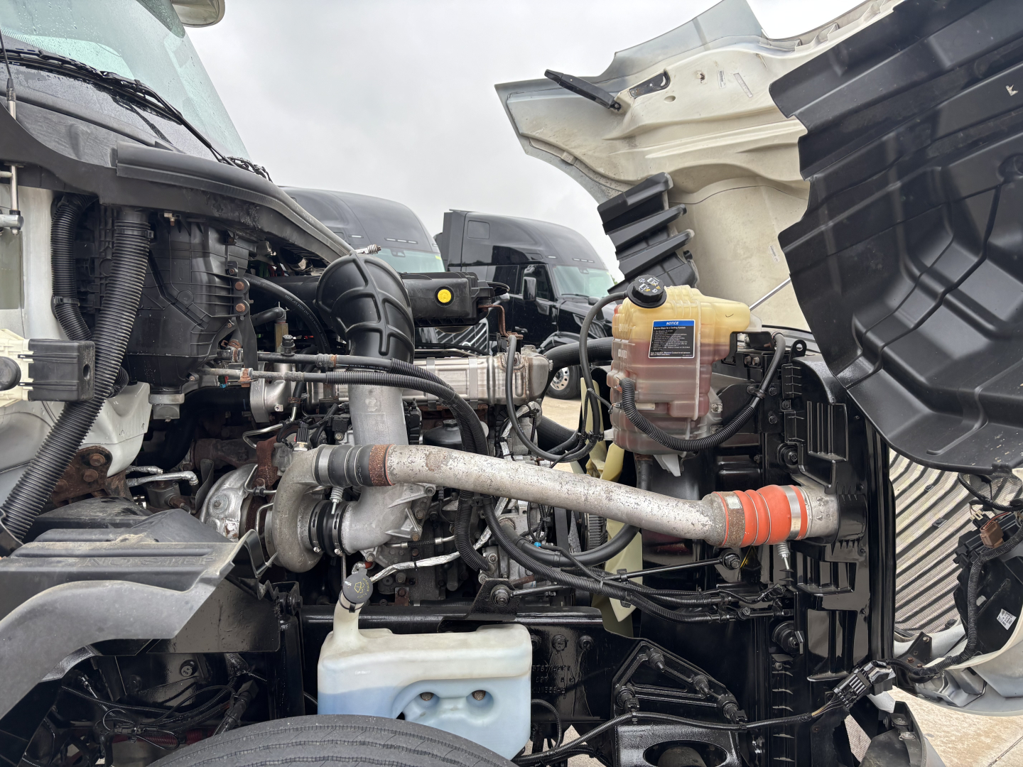 Truck engine bay of a 2019 International LT with various hoses, reservoirs, and components visible; includes coolant reservoir, power steering lines, and brake system area.