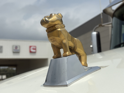 Golden bulldog hood ornament on a Mack truck with a silver base, close-up. background shows dealership building and sky.