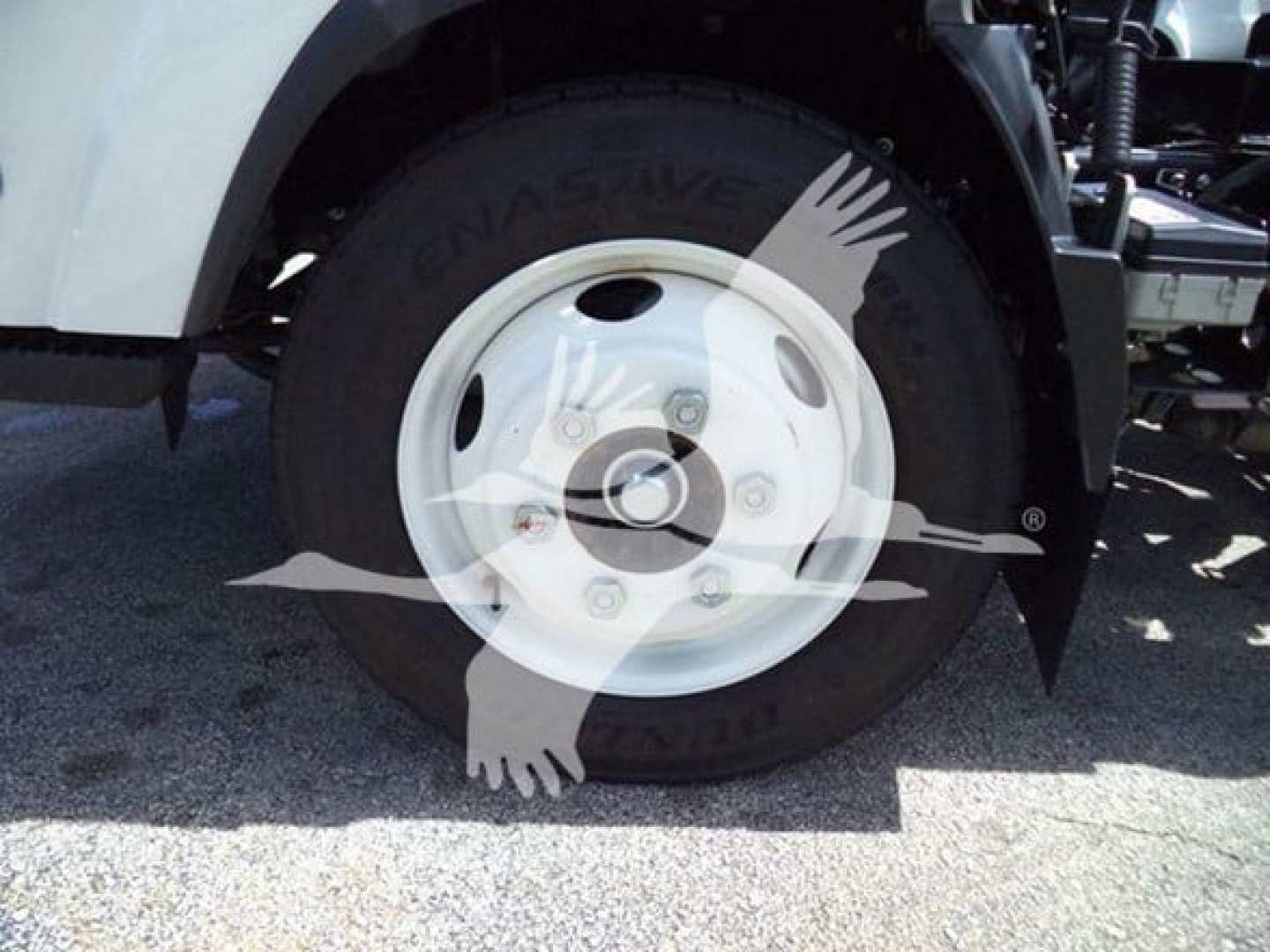 Isuzu NPR HD wheel and tire visible with white steel wheel and black tire