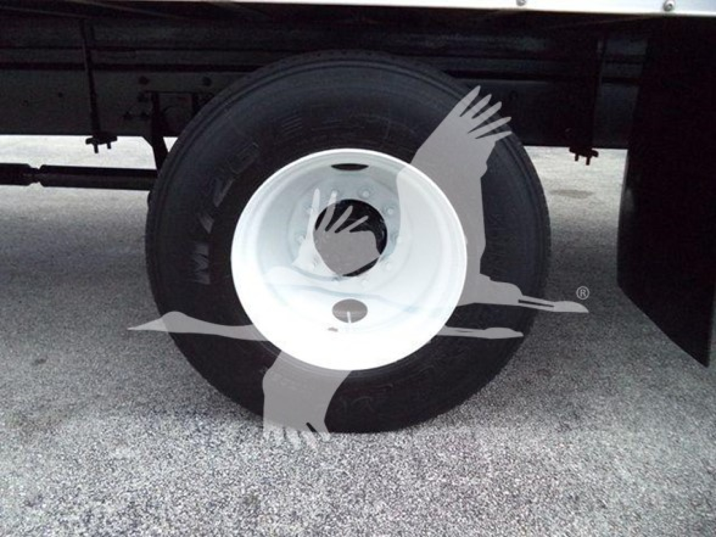 Truck wheel with white rim and black tire under a cargo box, side view of the undercarriage.