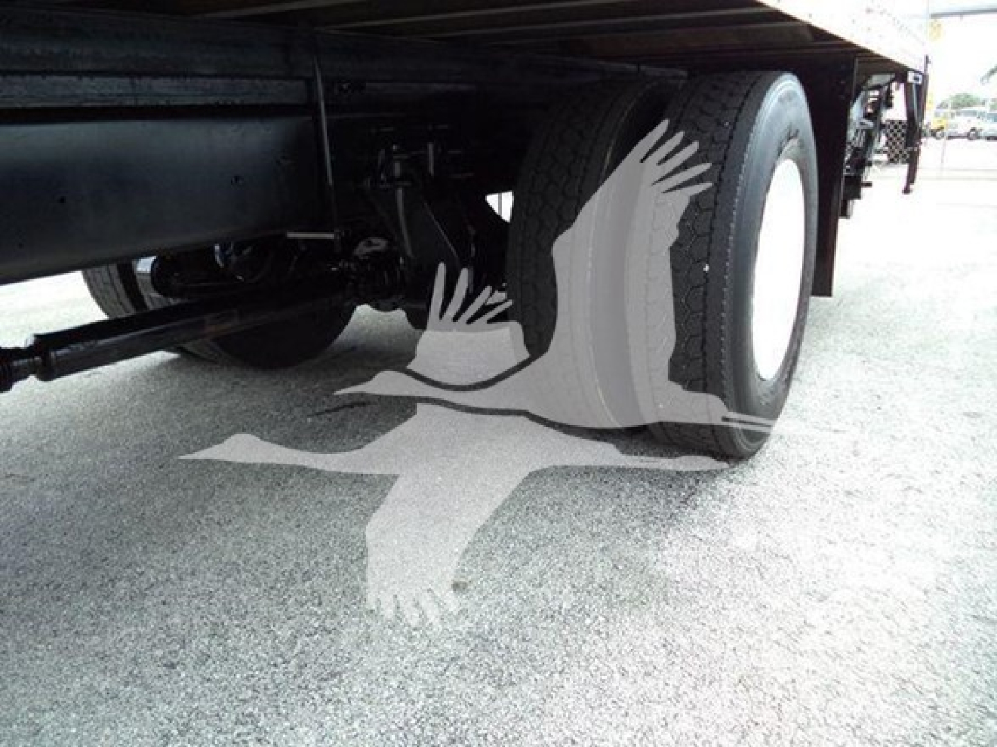 Truck undercarriage showing rear dual tires and chassis, with a silhouette watermark of a dove graphic over the tire area.