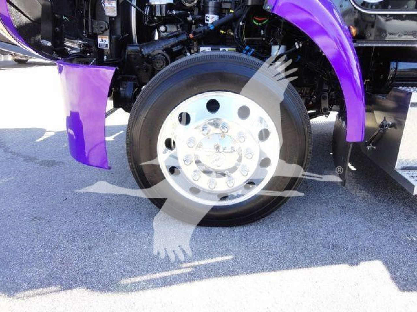 Peterbilt 337 front wheel and purple fender showing chrome wheel with multiple lug nuts and tire