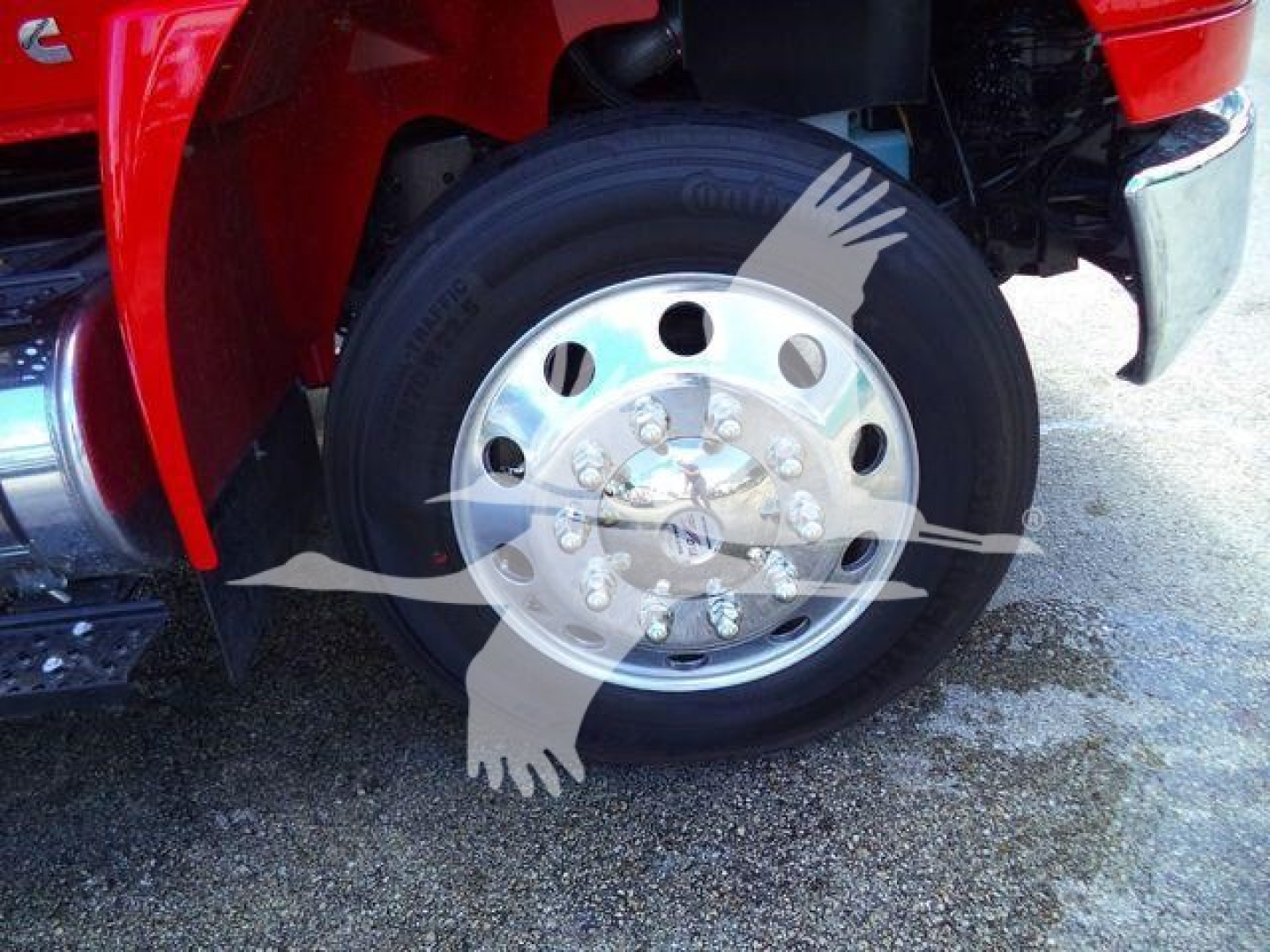 Truck wheel and front fender visible with wheel, tire, and chrome hub; overlayed watermark of birds.