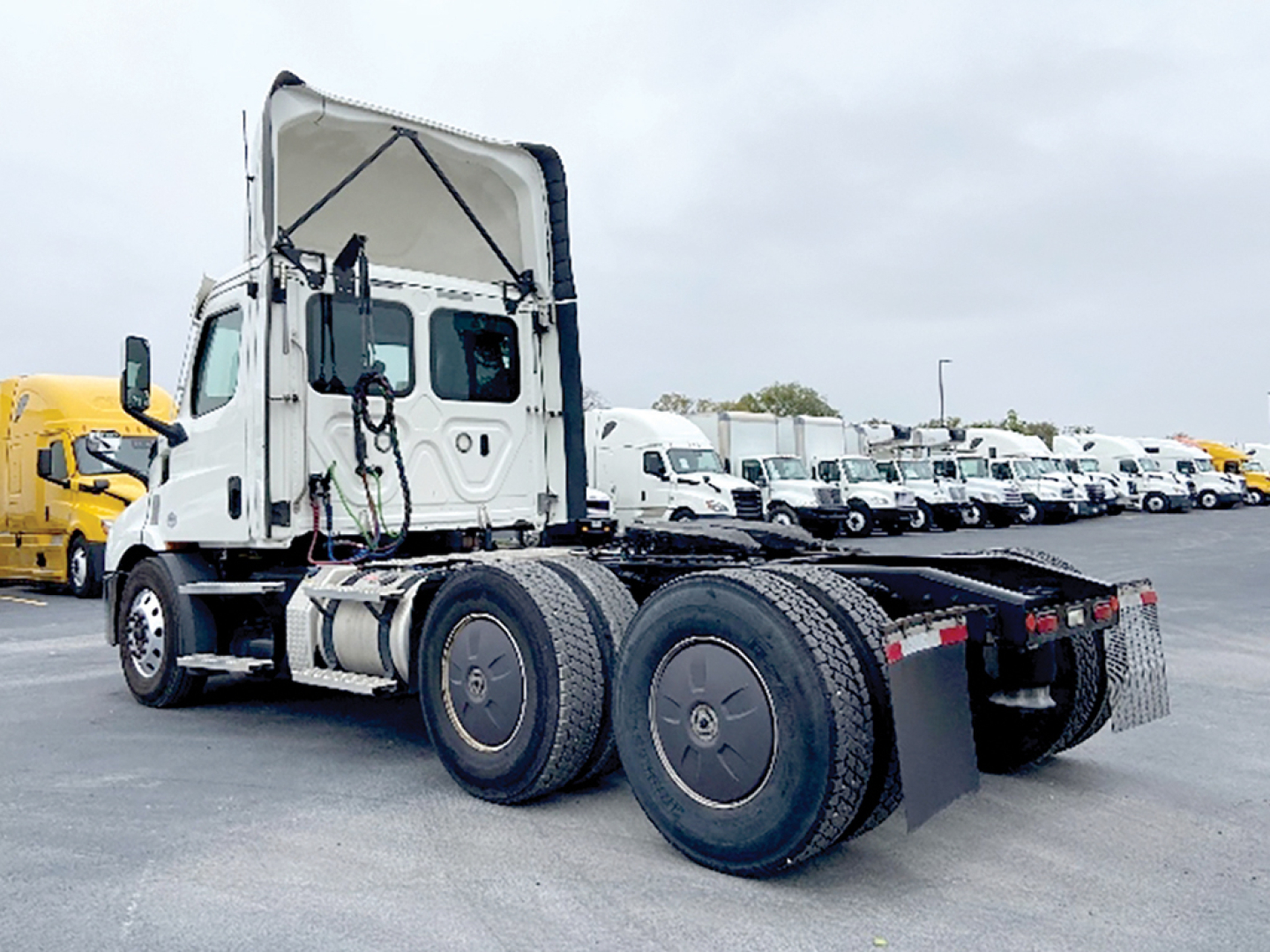 Freightliner Cascadia 116 tractor in a used trucks lot, side and rear view with twin rear axles and fifth wheel seen.