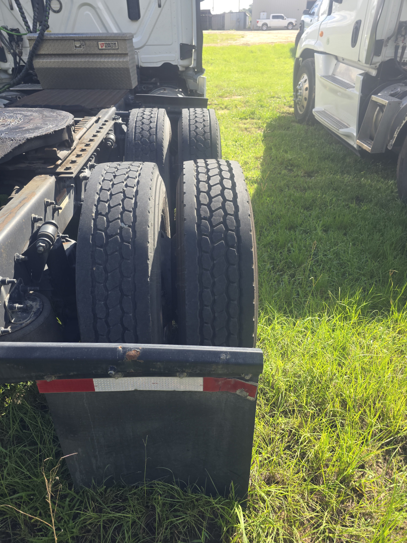 Rear view of a 2017 Freightliner Cascadia CA125DC truck chassis showing dual rear axles and mudflap with grass foreground.