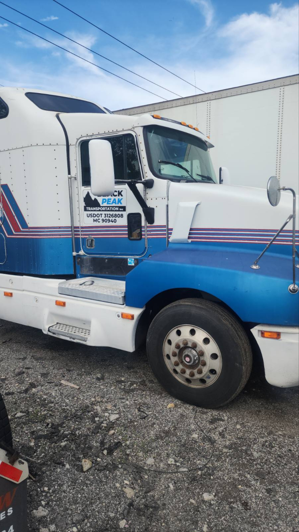Truck cab side of 1994 Kenworth T600 with blue and white livery and large dual mirrors.