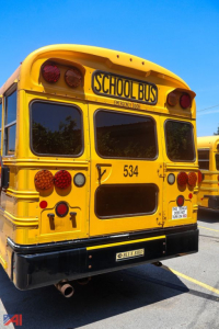 Rear view of a yellow 2018 Blue Bird Vision school bus showing 'SCHOOL BUS' sign, number 534, tail lights, and Blue Bird logo plate.