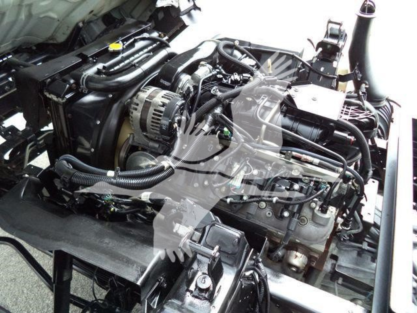 View of Chevrolet W4500 engine bay showing V-type engine with various hoses, alternator, belts, and air intake components.