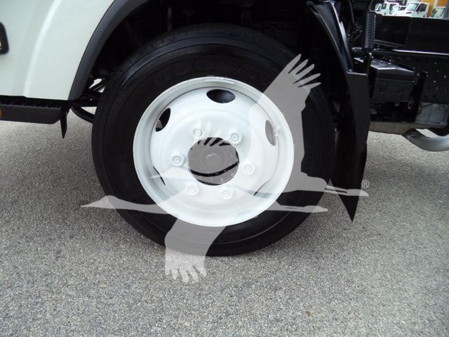 Front wheel and hub of a 2017 Chevrolet W4500 dump truck showing white steel wheel and tire.