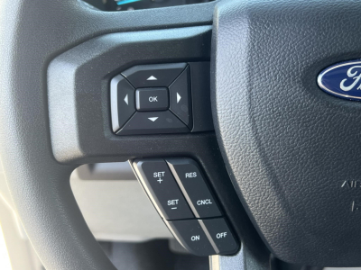 Ford steering wheel with cruise control buttons and directional pad on left side, part of a new 2026 Ford E350 interior view.