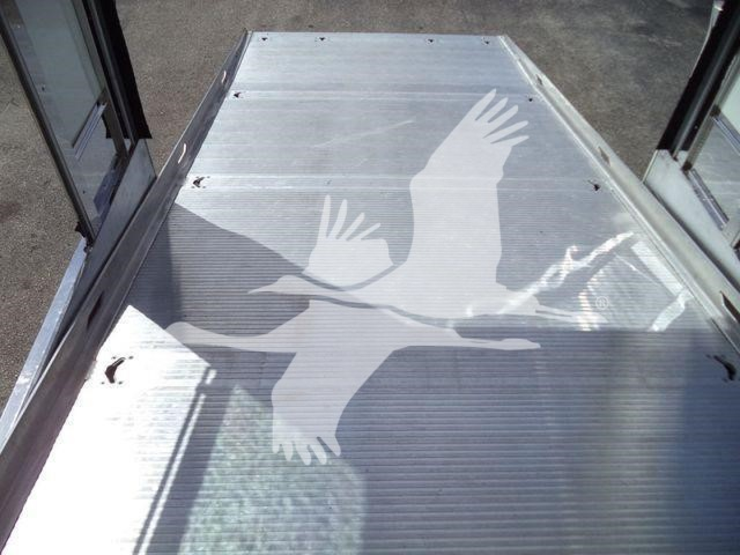 Metal truck bed with silver corrugated surface and a white graphic of two birds in flight. Side rails and glass doors frame the area.