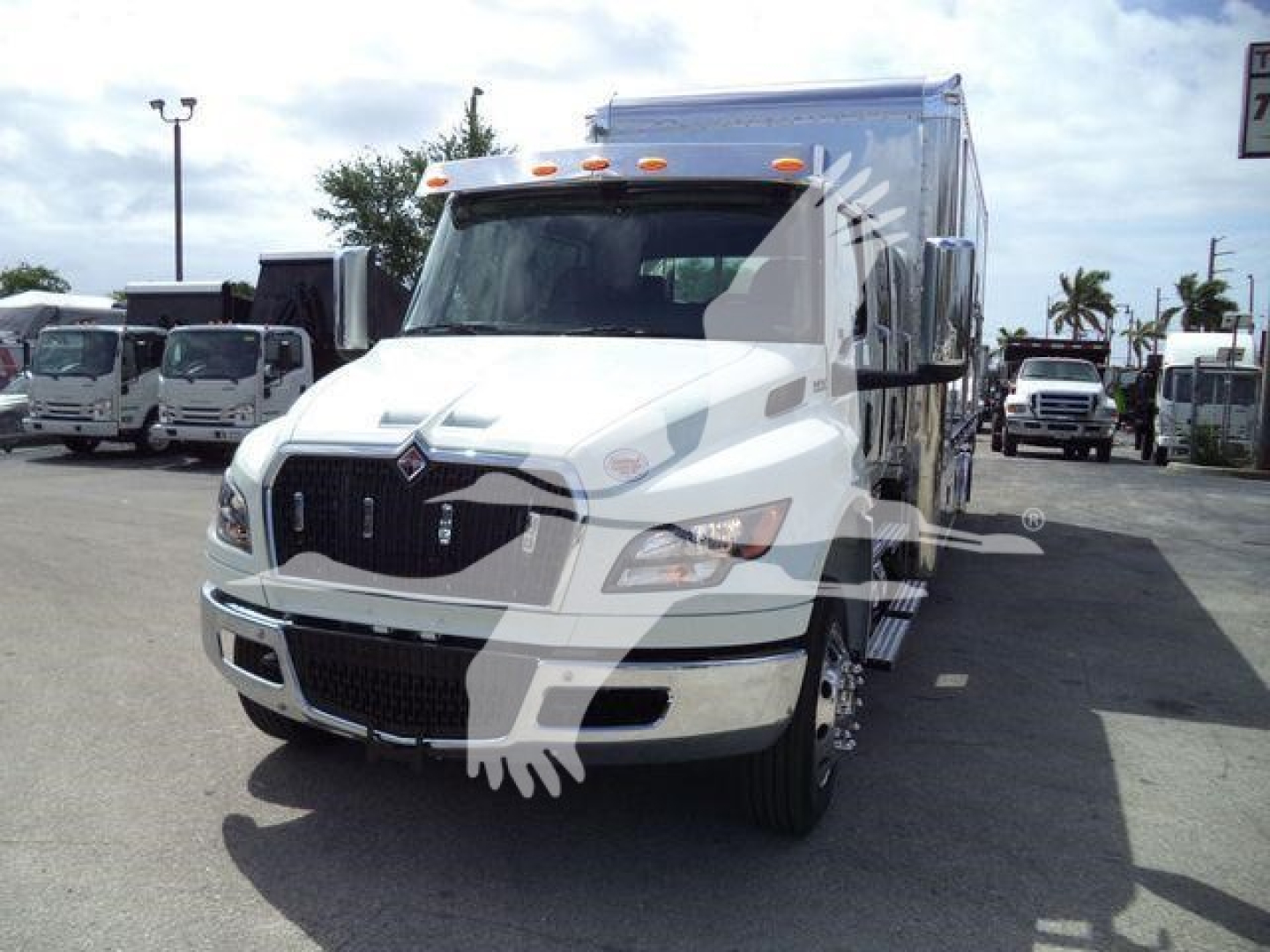 White International MV truck in a dealership lot, front view, with cargo box on chassis and other trucks in background.