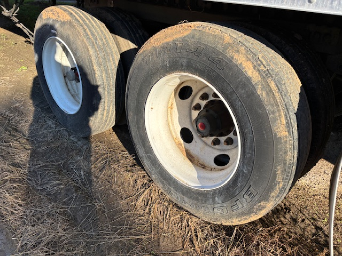 Trailer wheel and dual tires with white rims; dirt on tires; hub with red center cap.