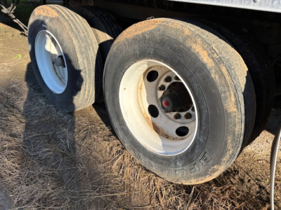 Trailer wheel and dual tires with white rims; dirt on tires; hub with red center cap.
