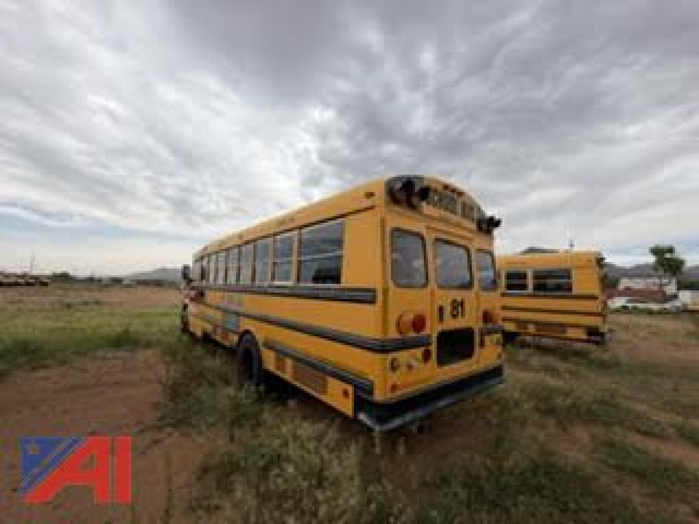 School bus rear view showing yellow Freightliner FS65 with black stripe, tail lights, and bus rear window; another bus in background.
