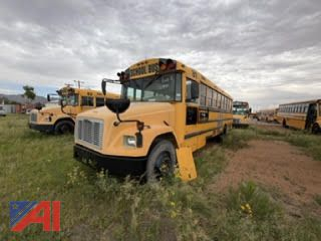 School bus in a lot with other yellow buses; 2005 Freightliner FS65 school bus front-left view with overcast sky.