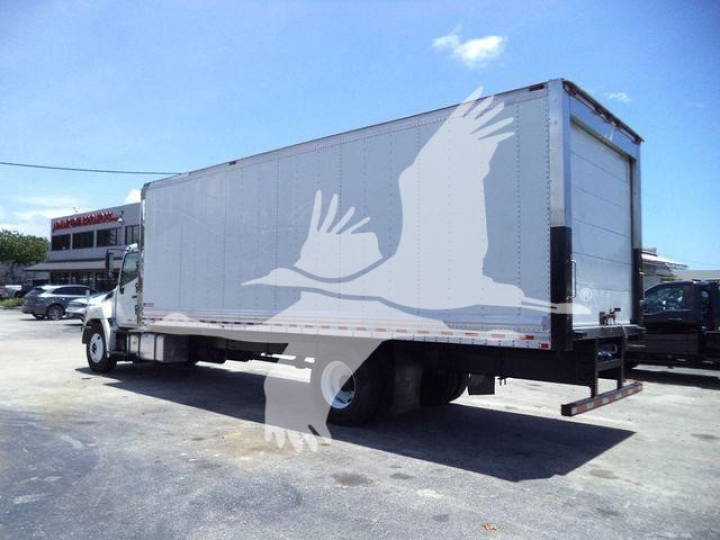 Rear and side view of a 2019 Hino 268A refrigerated truck with box body, showing a roll-up rear door and white cab in a dealership lot.