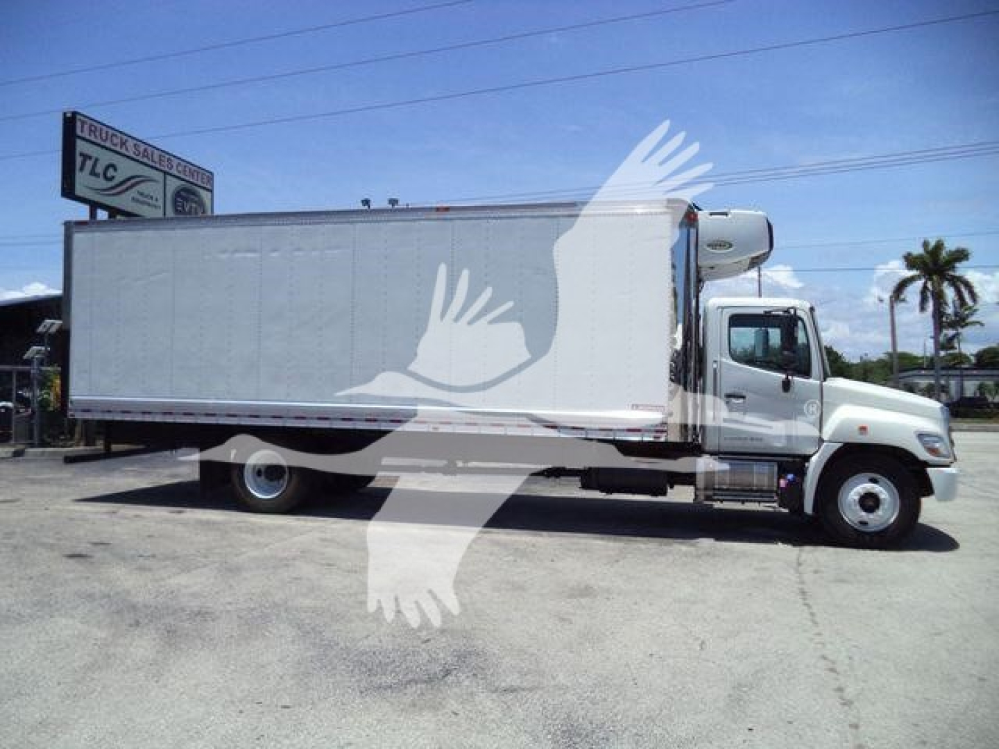 Side view of a 2019 Hino 268A refrigerated truck with a white cab and large box body