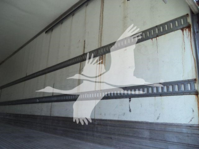 Trailer interior with side rails and wear marks in a refrigerated truck body. Visible are horizontal load rails and a faded wall, with a white graphic overlay of a bird.