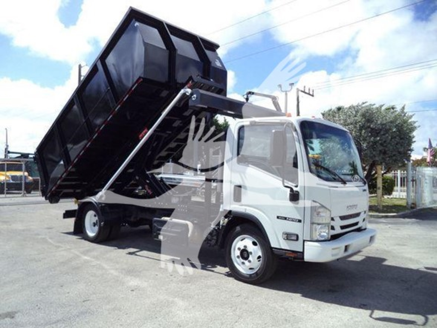 Isuzu NRR dump truck with raised black dump bed in tipping position, white cab, side mirrors, front grille, and hydraulic mechanism visible.