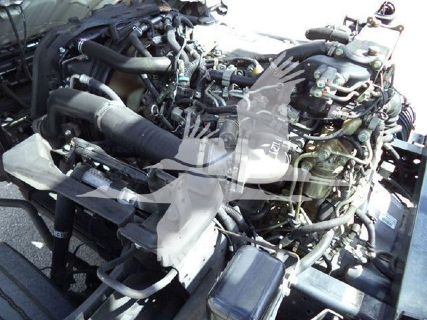 Isuzu NRR engine bay showing exposed components and hoses