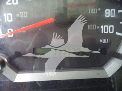 Isuzu truck instrument cluster showing speedometer with 0-100 mph scale and tachometer; reflection overlay of seabird graphic.