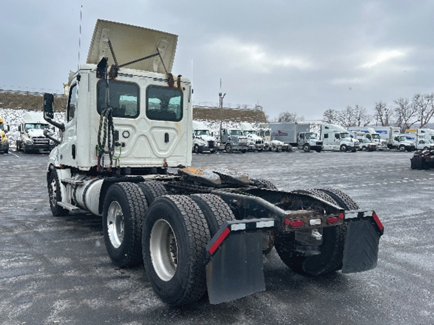 Truck rear view of a 2019 Freightliner Cascadia 126 daycab tractor with dual rear axles and mud flaps in a used truck lot.