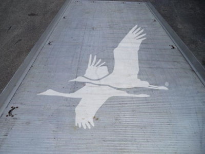 Truck bed deck with a white seagull graphic on a corrugated metal surface.